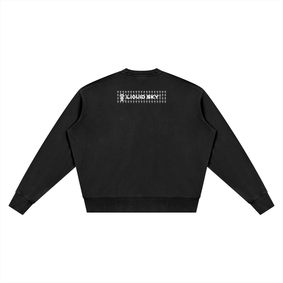ASTRO 3DJ Sweatshirt( vintage wash)