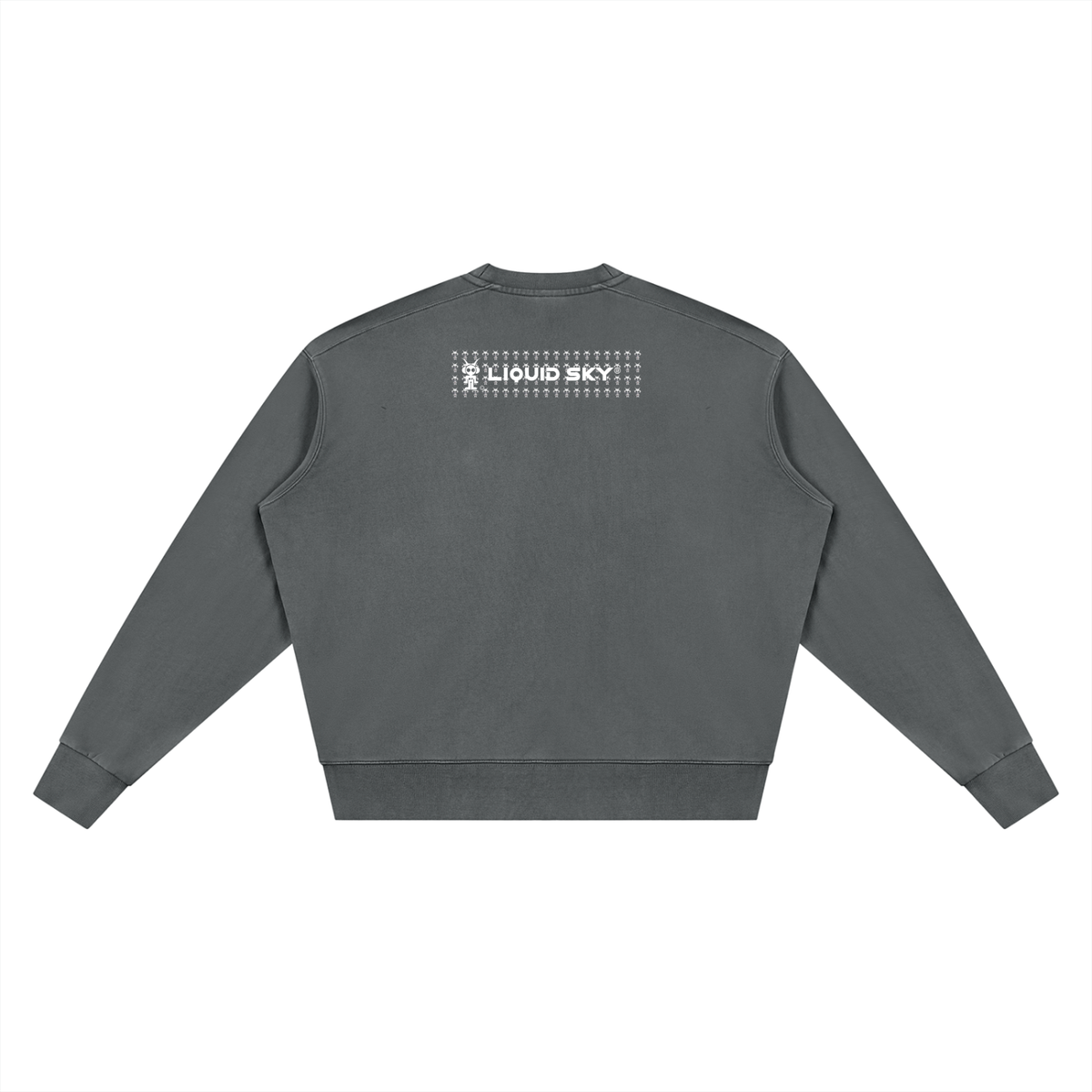 ASTRO 3DJ Sweatshirt( vintage wash)